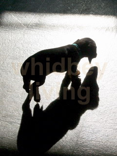 Click to see other Featured Photos